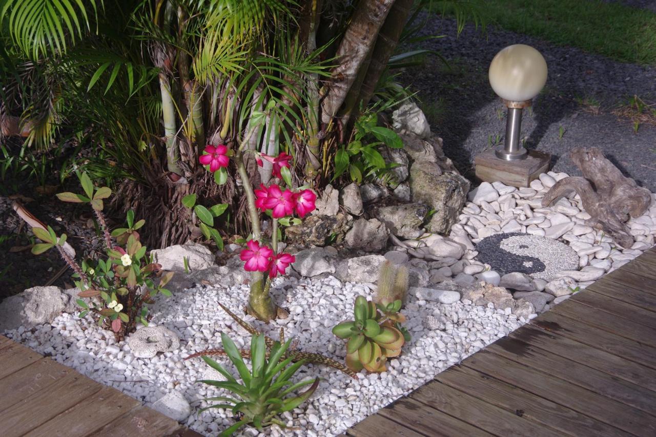 Gite Le Colibri Bungalow Azur Avec Reserve D'Eau 생프랑수아 외부 사진