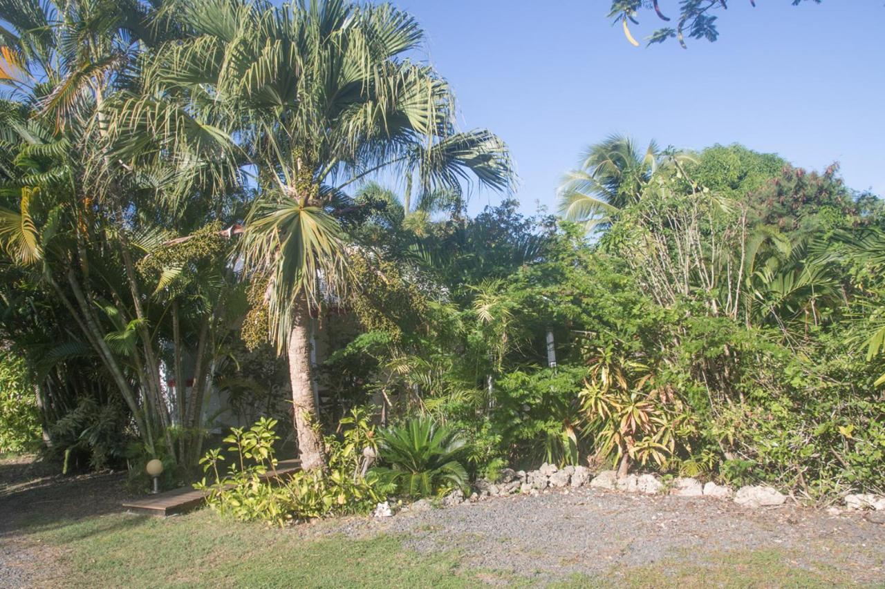 Gite Le Colibri Bungalow Azur Avec Reserve D'Eau 생프랑수아 외부 사진